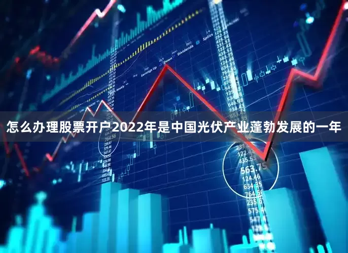 怎么办理股票开户　　2022年是中国光伏产业蓬勃发展的一年