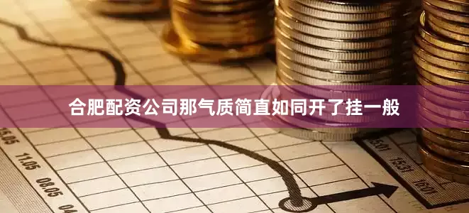 合肥配资公司那气质简直如同开了挂一般