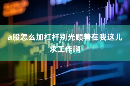 a股怎么加杠杆别光顾着在我这儿求工作啊